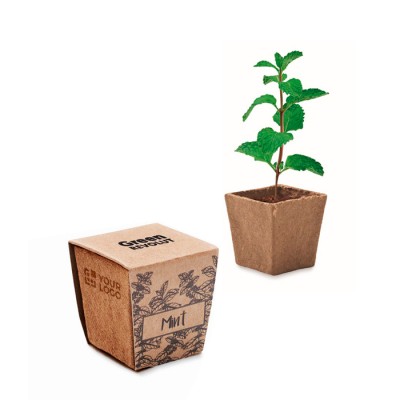 Maceta cuadrada y biodegradable de semillas de menta hecha en EU