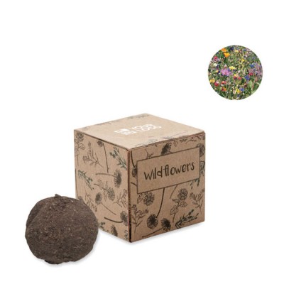 Semillas de flores silvestres con caja