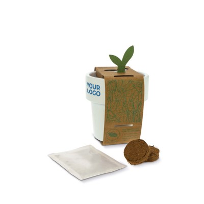 Maceta con semillas de fresa con doble utilidad para taza de café