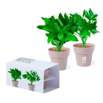 Combinación de 2 macetas para regalo con semillas de menta y perejil