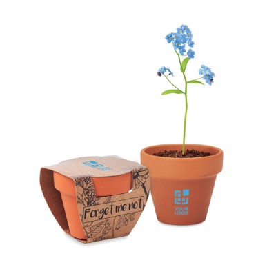 Macetas personalizadas de terracota ''no me olvides'' Myosotis Macetas personalizadas de terracota ''no me olvides'' Myosotis