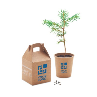 Macetas sostenibles personalizadas con semillas de pino pequeño Macetas sostenibles personalizadas con semillas de pino pequeño