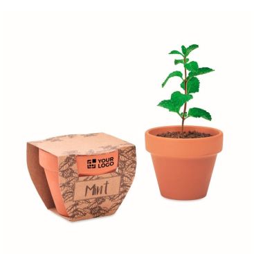 Maceta de terracota con semillas de menta y tableta de tierra incluida Maceta de terracota con semillas de menta y tableta de tierra incluida