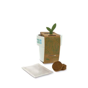 Maceta con semillas de albahaca con doble utilidad para taza de café
