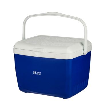 Nevera portátil de plástico resistente con doble pared y asa 13L