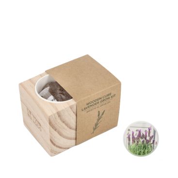 Kit de cultivo de lavanda con maceta y sustrato de coco