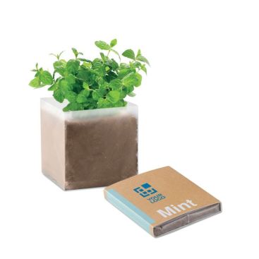 Bolsa con semillas de Menta