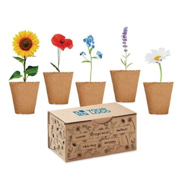 Set de cultivo de flores con 5 tipos diferentes Kit 5 Flowers Grow Set de cultivo de flores con 5 tipos diferentes Kit 5 Flowers Grow