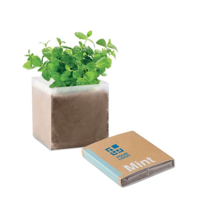 Bolsa con semillas de Menta